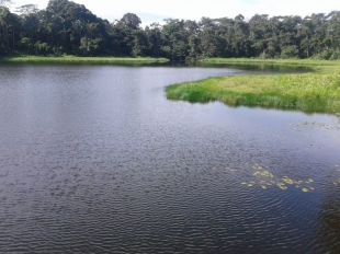Imagen Laguna Pastaza